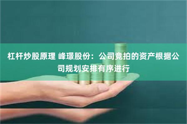 杠杆炒股原理 峰璟股份：公司竞拍的资产根据公司规划安排有序进行
