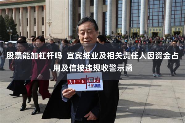 股票能加杠杆吗  宜宾纸业及相关责任人因资金占用及信披违规收警示函