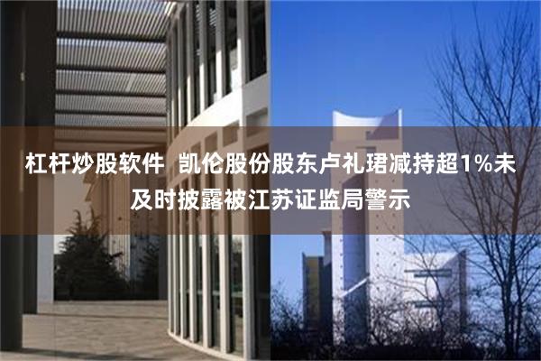 杠杆炒股软件  凯伦股份股东卢礼珺减持超1%未及时披露被江苏证监局警示