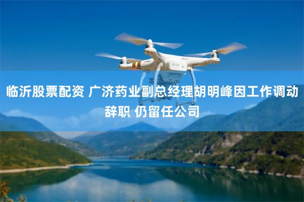 临沂股票配资 广济药业副总经理胡明峰因工作调动辞职 仍留任公司