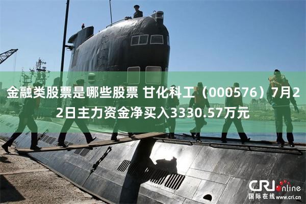 金融类股票是哪些股票 甘化科工（000576）7月22日主力资金净买入3330.57万元