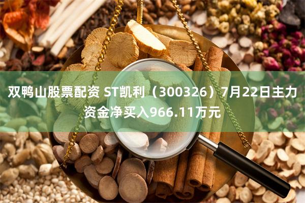 双鸭山股票配资 ST凯利（300326）7月22日主力资金净买入966.11万元