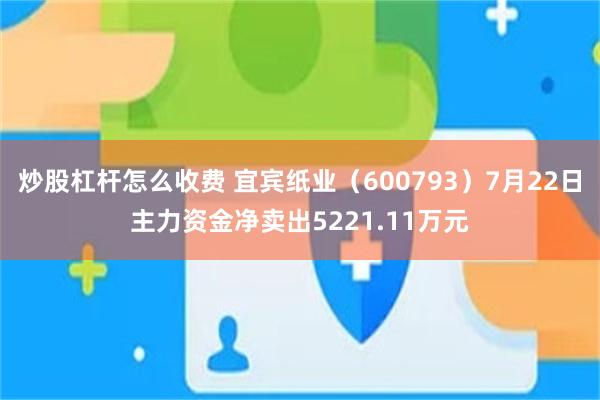 炒股杠杆怎么收费 宜宾纸业（600793）7月22日主力资金净卖出5221.11万元
