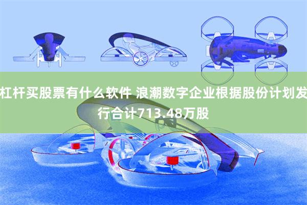 杠杆买股票有什么软件 浪潮数字企业根据股份计划发行合计713.48万股