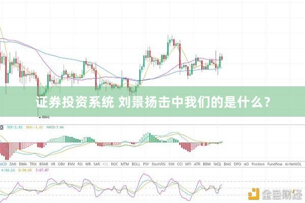 证券投资系统 刘景扬击中我们的是什么？
