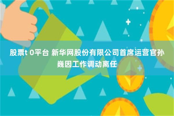 股票t 0平台 新华网股份有限公司首席运营官孙巍因工作调动离任
