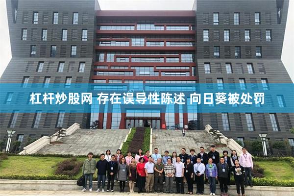 杠杆炒股网 存在误导性陈述 向日葵被处罚