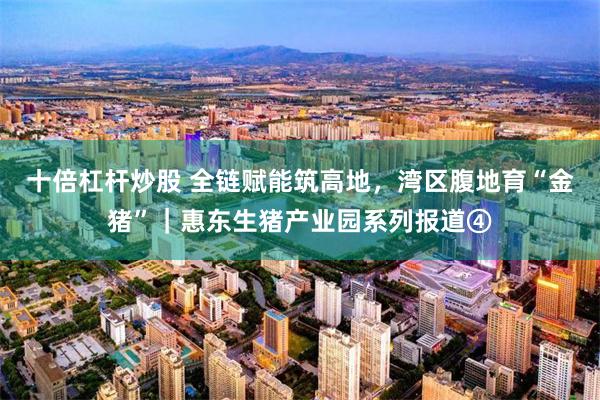 十倍杠杆炒股 全链赋能筑高地，湾区腹地育“金猪”｜惠东生猪产业园系列报道④