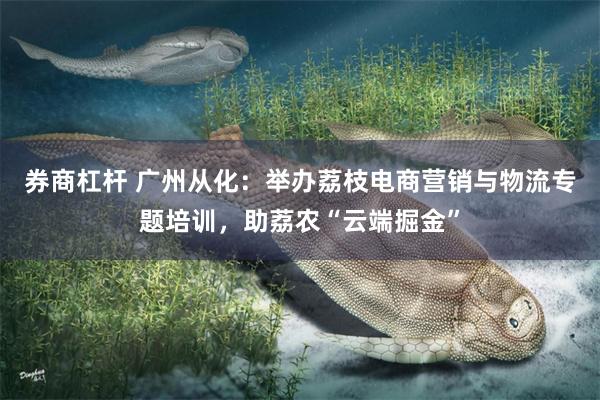 券商杠杆 广州从化：举办荔枝电商营销与物流专题培训，助荔农“云端掘金”