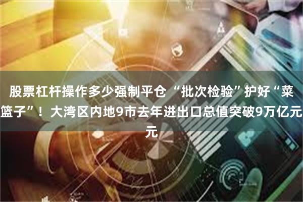 股票杠杆操作多少强制平仓 “批次检验”护好“菜篮子”！大湾区内地9市去年进出口总值突破9万亿元