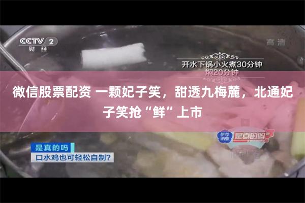 微信股票配资 一颗妃子笑，甜透九梅麓，北通妃子笑抢“鲜”上市
