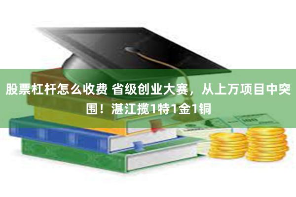 股票杠杆怎么收费 省级创业大赛，从上万项目中突围！湛江揽1特1金1铜