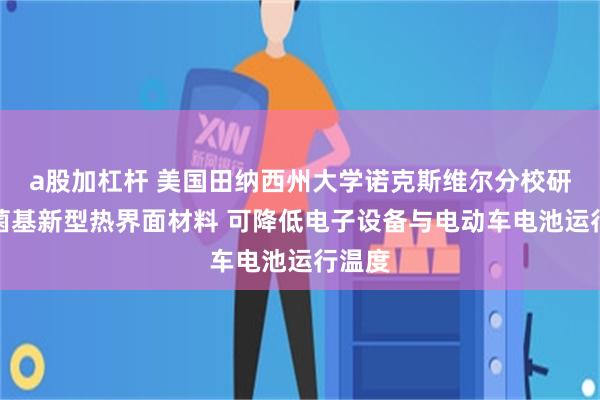 a股加杠杆 美国田纳西州大学诺克斯维尔分校研发细菌基新型热界面材料 可降低电子设备与电动车电池运行温度
