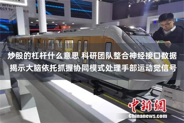 炒股的杠杆什么意思 科研团队整合神经接口数据 揭示大脑依托抓握协同模式处理手部运动觉信号