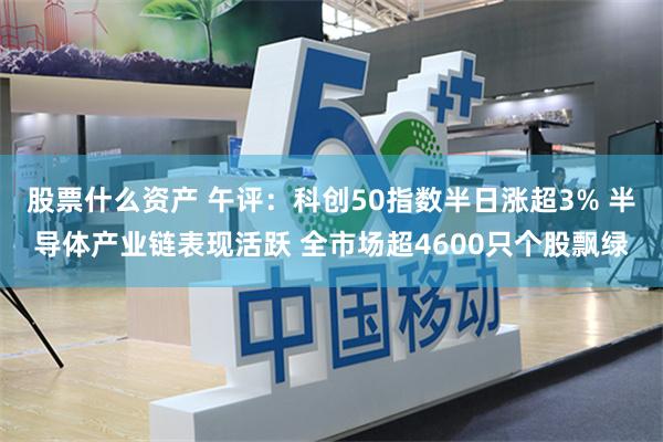 股票什么资产 午评：科创50指数半日涨超3% 半导体产业链表现活跃 全市场超4600只个股飘绿