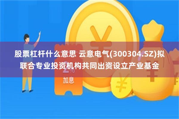 股票杠杆什么意思 云意电气(300304.SZ)拟联合专业投资机构共同出资设立产业基金