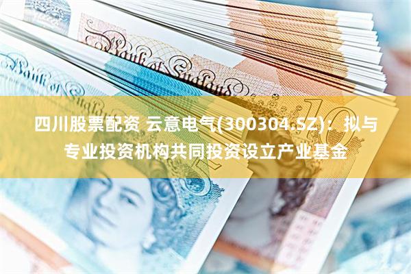 四川股票配资 云意电气(300304.SZ)：拟与专业投资机构共同投资设立产业基金