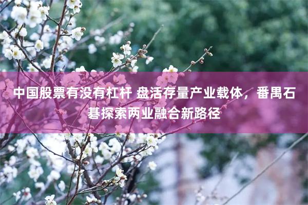 中国股票有没有杠杆 盘活存量产业载体，番禺石碁探索两业融合新路径