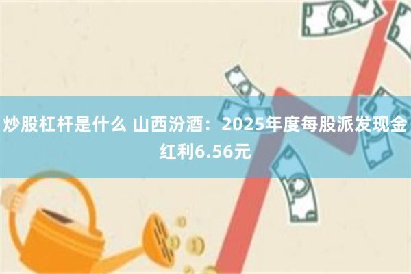 炒股杠杆是什么 山西汾酒：2025年度每股派发现金红利6.56元