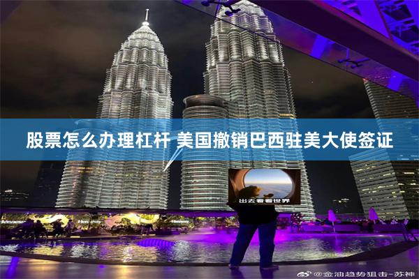 股票怎么办理杠杆 美国撤销巴西驻美大使签证