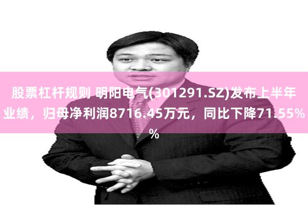 股票杠杆规则 明阳电气(301291.SZ)发布上半年业绩，归母净利润8716.45万元，同比下降71.55%