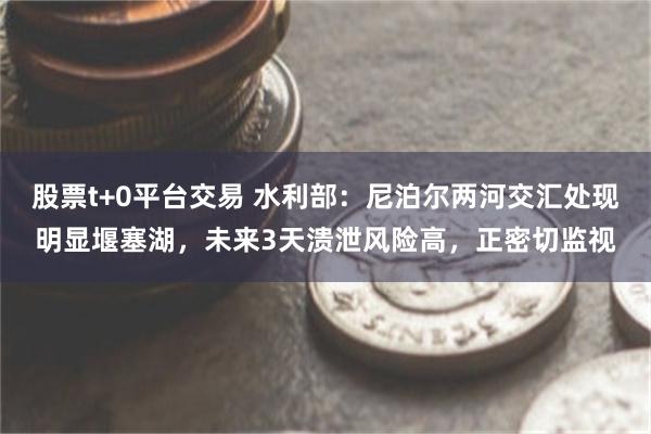 股票t+0平台交易 水利部：尼泊尔两河交汇处现明显堰塞湖，未来3天溃泄风险高，正密切监视