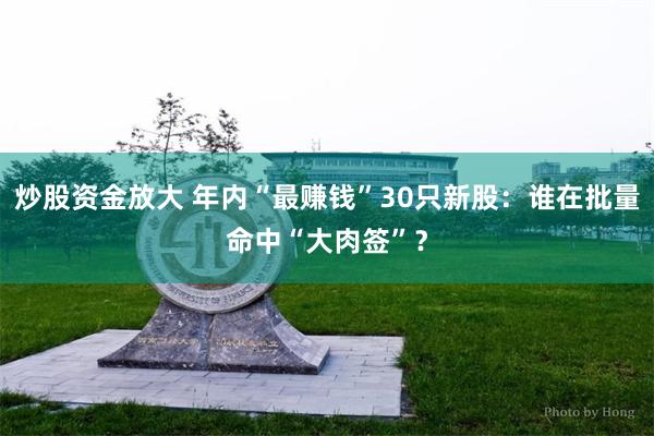 炒股资金放大 年内“最赚钱”30只新股:谁在批量命中“大肉签”?