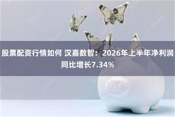 股票配资行情如何 汉嘉数智：2026年上半年净利润同比增长7.34%