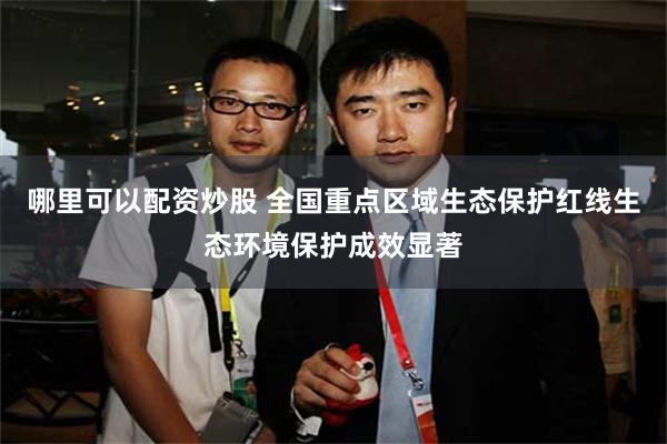 哪里可以配资炒股 全国重点区域生态保护红线生态环境保护成效显著