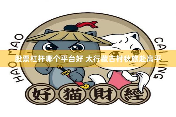 股票杠杆哪个平台好 太行藏古村秋旅赴高平