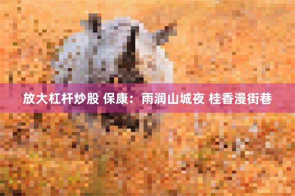 放大杠杆炒股 保康：雨润山城夜 桂香漫街巷
