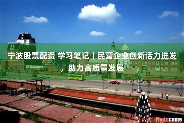 宁波股票配资 学习笔记｜民营企业创新活力迸发，助力高质量发展