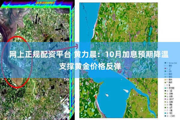 网上正规配资平台 黄力晨：10月加息预期降温 支撑黄金价格反弹