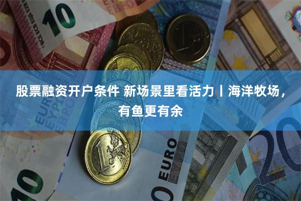 股票融资开户条件 新场景里看活力丨海洋牧场，有鱼更有余