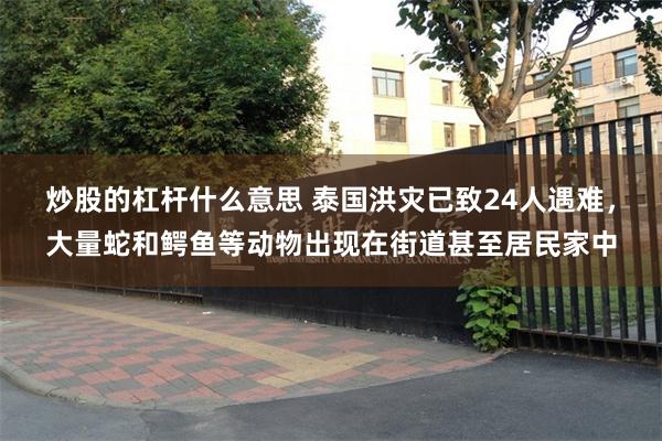 炒股的杠杆什么意思 泰国洪灾已致24人遇难，大量蛇和鳄鱼等动物出现在街道甚至居民家中