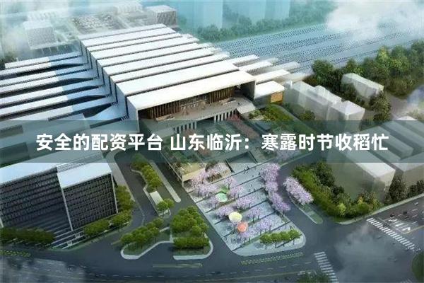 安全的配资平台 山东临沂：寒露时节收稻忙
