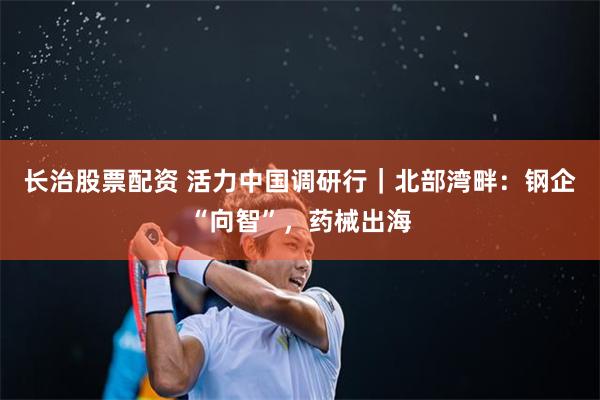 长治股票配资 活力中国调研行｜北部湾畔：钢企“向智”，药械出海